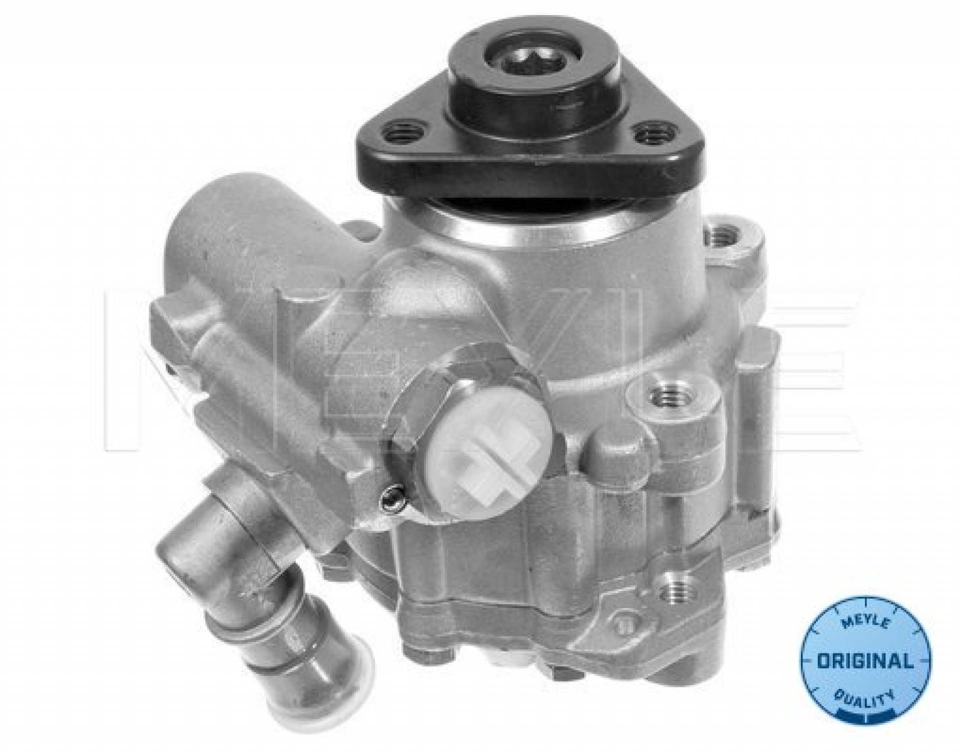 Power Steering Pump E39